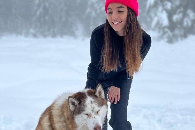 Husky Hikes Private Mountain Tours - What to Bring for a Snowy Trail (So You Don’t Spend the Hike Miserable)