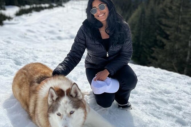 Husky Hikes Private Mountain Tours - Private Transportation Value: What You’re Really Paying For