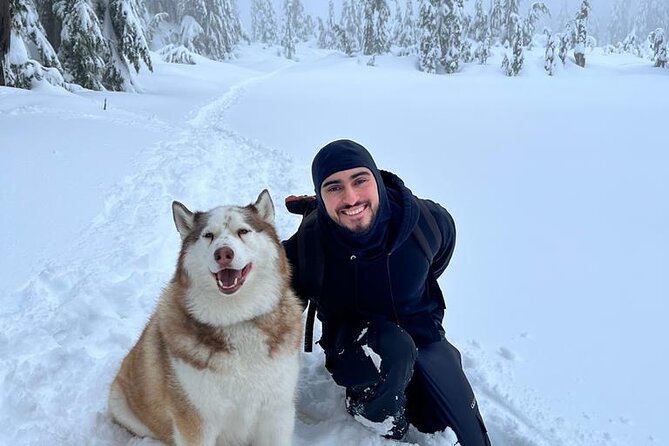 Husky Hikes Private Mountain Tours - Who This Husky Hike Fits Best (And Who Should Rethink It)