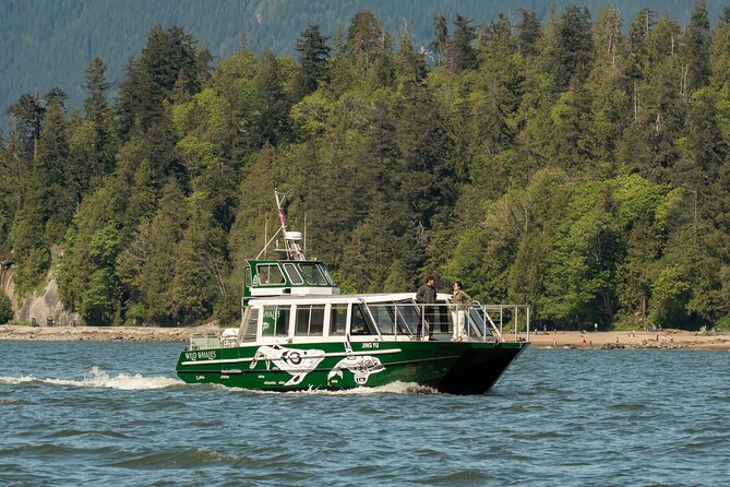 Intimate West Coast Whale Watching - Partly-Sheltered - A Small-Group Whale Hunt Built for Real Sightings