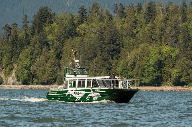 Intimate West Coast Whale Watching - Partly-Sheltered - Out on the Water: How the Crew Finds the Right Moment