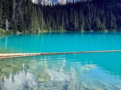 Joffre Lakes/ Hiking Day Trip - Lower Joffre Lake: The Log Photo and a Quick Water Moment