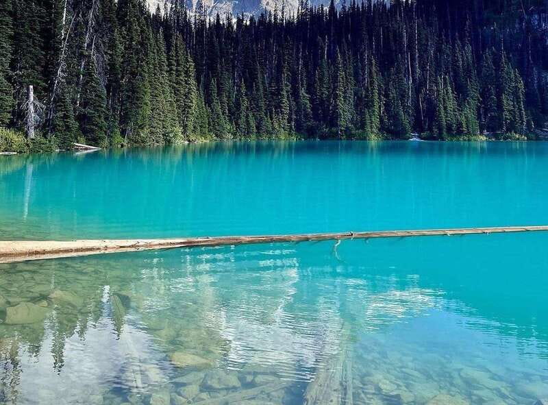 Joffre Lakes/ Hiking Day Trip - Lower Joffre Lake: The Log Photo and a Quick Water Moment