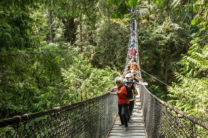 Mesmerizing Nature Walk in Lynn Canyon Park - A small-group morning escape to Lynn Canyon’s rainforest