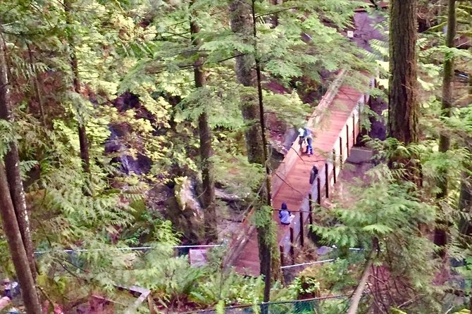 Mesmerizing Nature Walk in Lynn Canyon Park - Stop 2: the Lynn Valley Suspension Bridge and canyon views from 50 meters