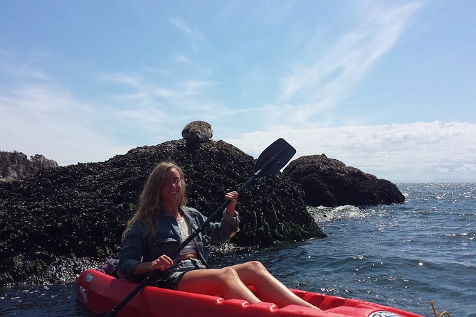Morning Kayak & Seal Cruise in Vancouver - Key Highlights You’ll Actually Care About