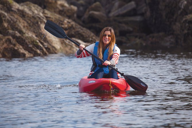 Morning Kayak & Seal Cruise in Vancouver - Price and Value: Is $89.76 Fair for a 2-Hour Seal Cruise?