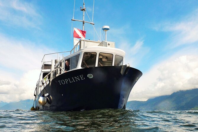 Morning Kayak & Seal Cruise in Vancouver - Who This Sea Dragon Charters Trip Fits Best