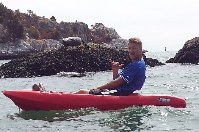 Morning Kayak & Seal Cruise in Vancouver - Your Choice on the Water: Kayak or Stand-Up Paddle Board