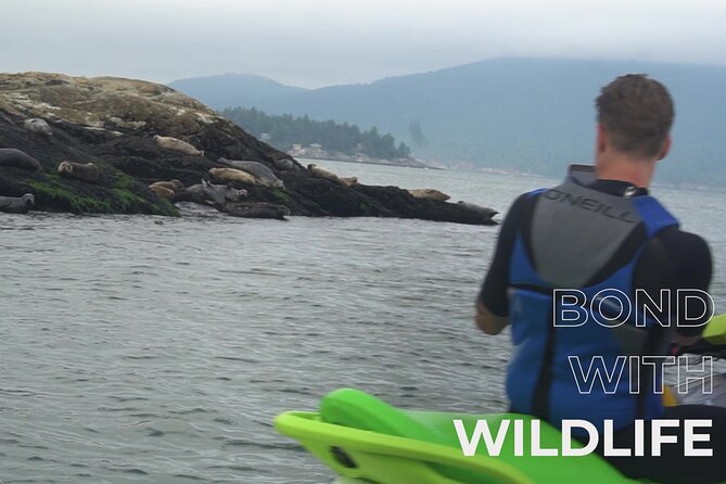 Ocean is Yours Seadoo Experience from Vancouver - Guides and the small-group energy