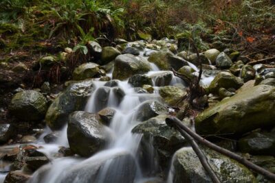 Photography, Gondola & Snowshoeing - Sea to Sky Gondola: a scenic start with time to reset