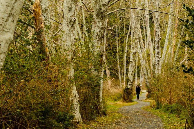 Photography, Hiking & Ferry to Bowen Island - Price and value: why $133.61 feels fair here