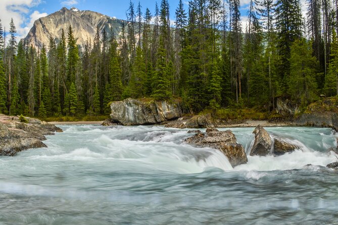 Photography & Rockies Road Trip - Day 3: Athabasca Falls, Icefields, Peyto Lake, and the Lakes Between