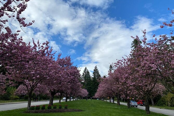 Private Guided Grand City Tour in Vancouver with your luggage - Horseshoe Bay and Lonsdale Quay: ferries, harbors, and a calmer kind of sightseeing