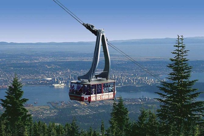 Private Tour: Capilano Suspension Bridge and Grouse Mountain - Timing and pace: how to enjoy it without feeling rushed