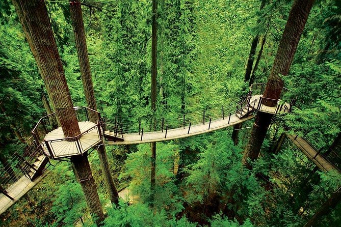 Private Tour: Capilano Suspension Bridge and Grouse Mountain - Price and value: what you’re paying for in real terms