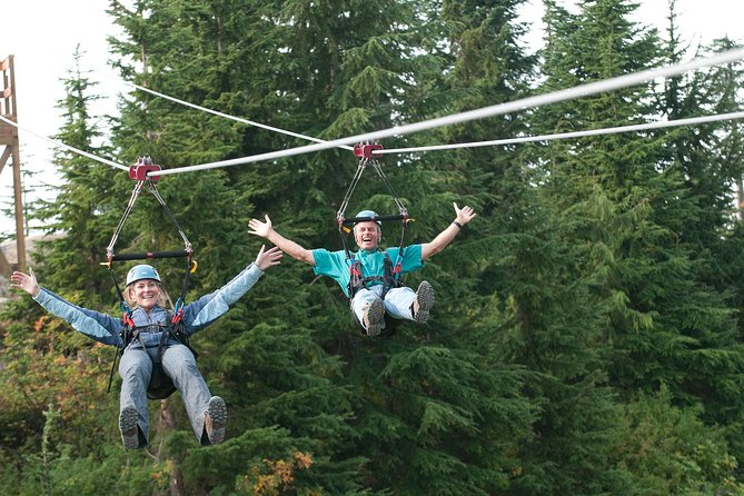Private Tour: Capilano Suspension Bridge and Grouse Mountain - Who this private tour suits best (and who should rethink)