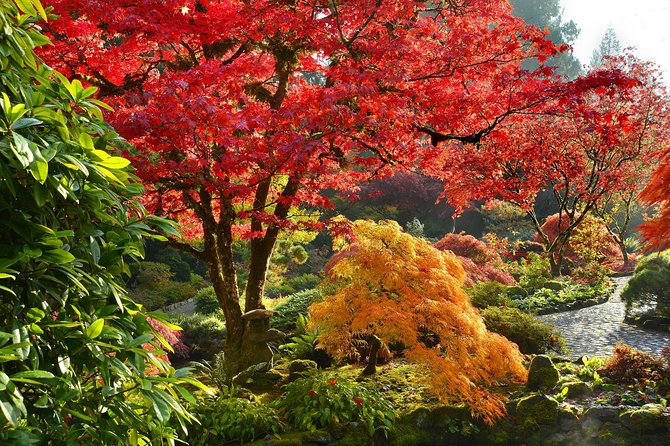 Private Tour: Gardens of Vancouver - Bloedel Conservatory: the tropical dome you didn’t expect