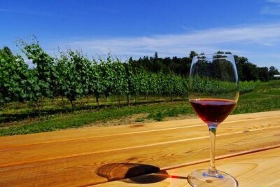 Private Tour: Vancouver Half Day Wine Tasting Tour - The route: Fraser Valley names vs Richmond wineries