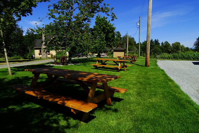 Private Tour: Vancouver Half Day Wine Tasting Tour - What to sip and how to make the most of tastings