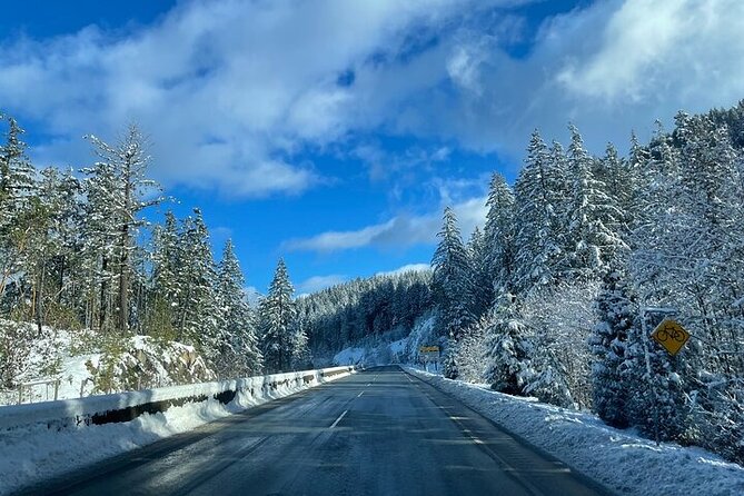 Private Transfer Between Vancouver Cruise and Seattle Airport - Who this transfer suits best (and who should think twice)