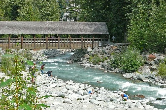 Private Whistler Day Trip from Vancouver - Sea to Sky gondola add-on (Peak 2 Peak): worth it, but plan for extra time and money