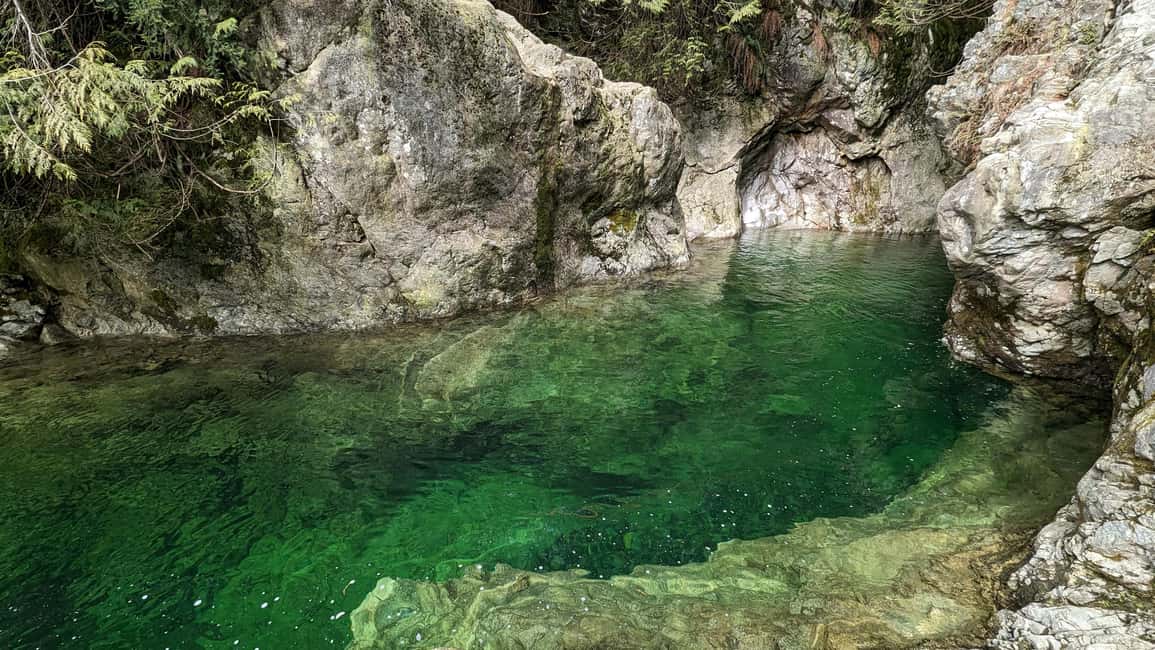 PrivateTour Capilano Br+Granville Islan+Hatchery+Lynn Canyon - Who should book (and who should skip)