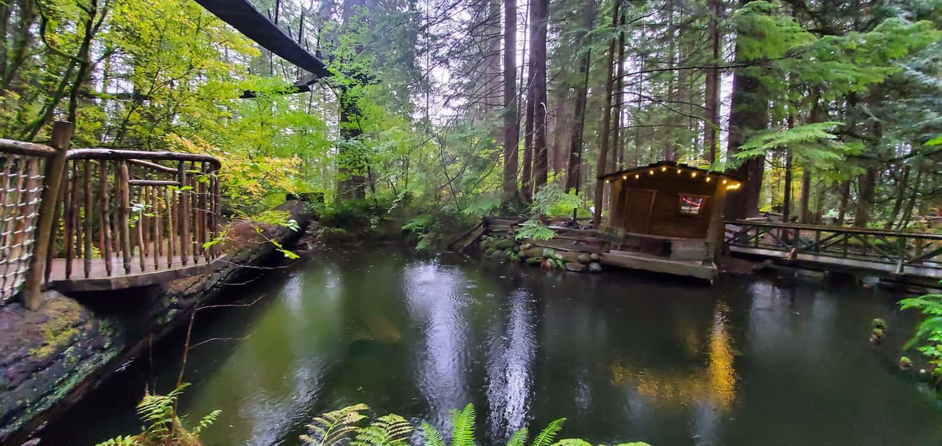PrivateTour Capilano Br+Granville Islan+Hatchery+Lynn Canyon - Capilano Suspension Bridge: the classic Vancouver bridge, with extra ways to look