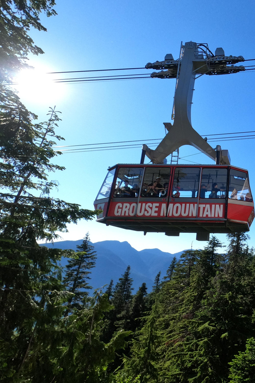 PrivateTour Capilano Br+Granville Islan+Hatchery+Lynn Canyon - Price and value: is $189 per person worth it?