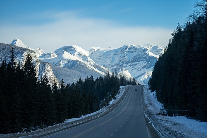 Rockies Winter Premium Tour - Day 4: Bow Valley wildlife drive, Emerald Lake (seasonal), and Rogers Pass
