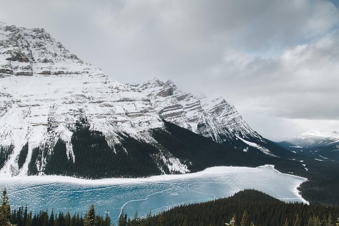 Rockies Winter Premium Tour - Day 5: BC Wildlife Park and the return to Vancouver