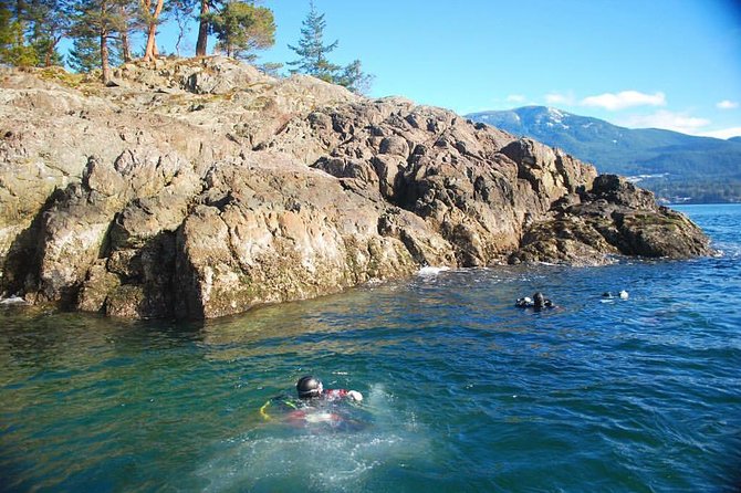 Scuba Dive Boat Charter in Vancouver (Certified Divers Only!) - How the on-board buddy support and staff expertise help