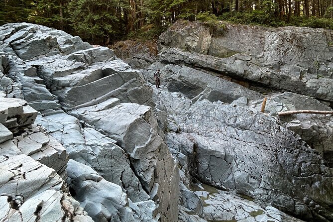 Shannon fall, Quercus Point and Squamish city Private tour - Who This Tour Fits Best (And Who Should Rethink It)