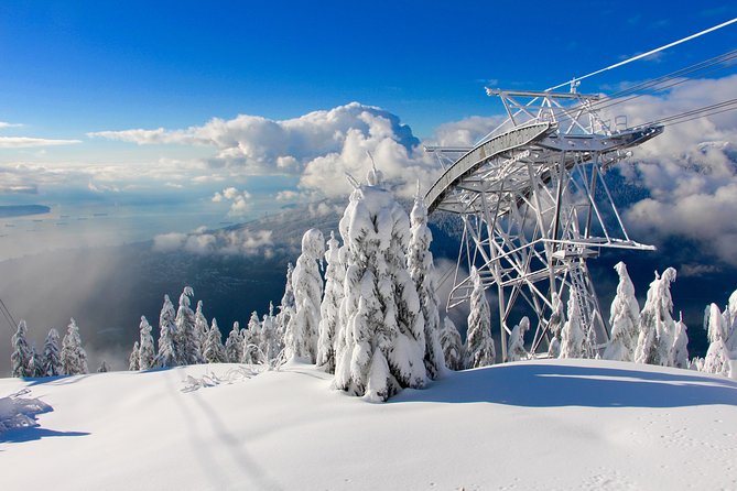 Small Group Tour: Capilano Suspension Bridge and Grouse Mountain from Vancouver - Grouse Mountain: Red Skyride Up, Bears in the Refuge, and Show Options