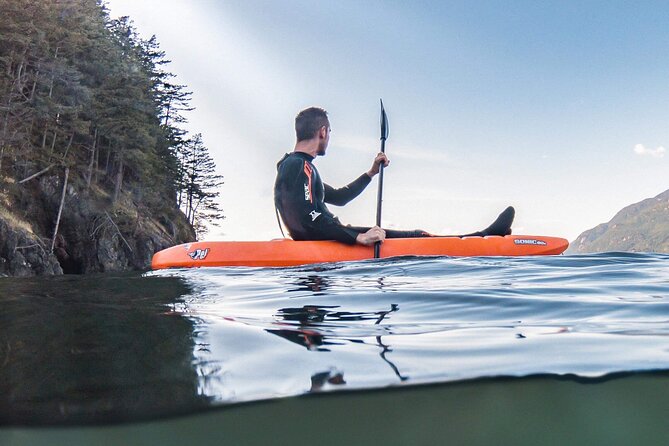 Snorkel, Kayak, and Seal Adventure: Vancouver Boat Tour - The sightseeing-only option: a good fit if you’d rather watch from onboard