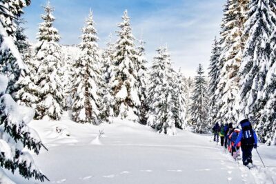 Snowshoe Through Vancouver's Winter Wonderland - Snowshoeing through winter forests: what you should expect on the trail