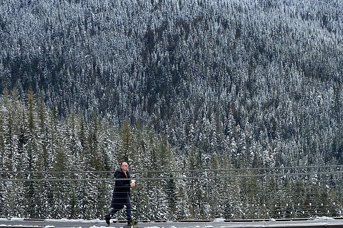 Snowshoeing At The Top Of The Sea To Sky Gondola - Riding Up: Gondola Time, Howe Sound Views, and Sky Pilot Bridge