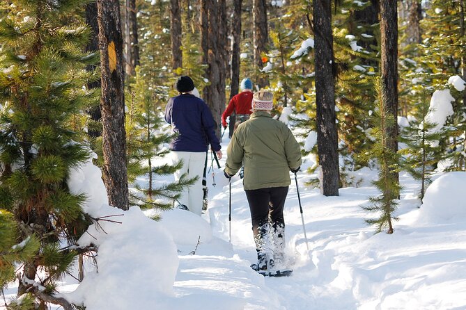 Snowshoeing At The Top Of The Sea To Sky Gondola - Snowshoeing on Summit Trails: Exercise, Traction, and Good Pace