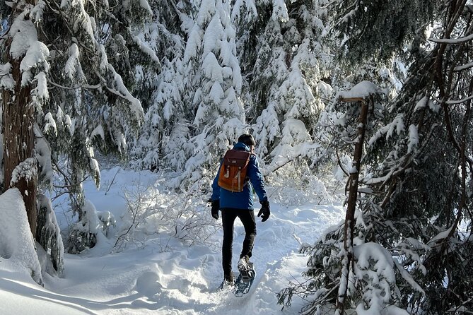 Snowshoeing At The Top Of The Sea To Sky Gondola - Packing Tips That Make or Break a Winter Walk