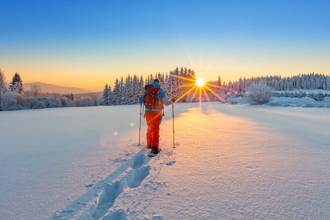 Snowshoeing At The Top Of The Sea To Sky Gondola - Door-to-Door Transport From Vancouver: The Winter Convenience Factor