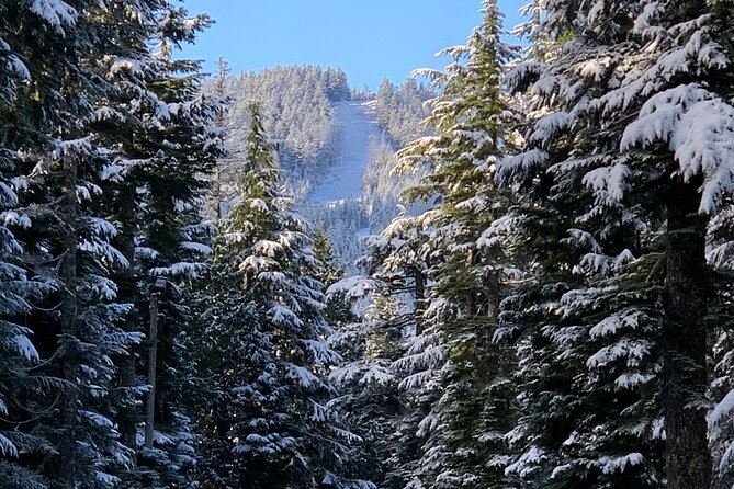 Snowshoeing In Vancouver's Winter Wonderland - Gear and clothing tips that keep you happy on snow