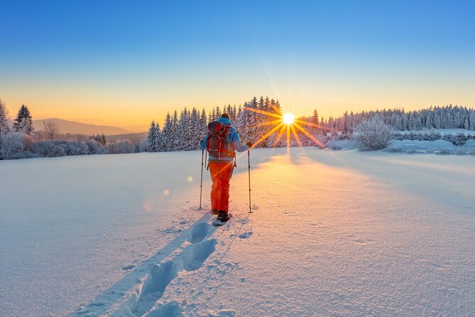Snowshoeing In Vancouver's Winter Wonderland - Your guide and the small-group difference: less waiting, more confidence