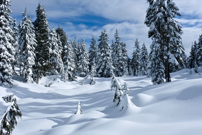 Snowshoeing In Vancouver's Winter Wonderland - How the day flows: a realistic sense of the 4 hours