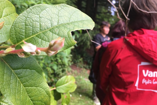 Spoken Treasures: Stanley Park Indigenous Walking Tour - Who Leads This Tour: Shae and Patrick (and Why That Matters)