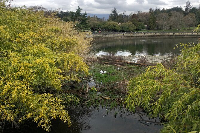 Stanley Park Bike Adventure with Lux Car Pick Up Affordable Easy - Price at $6.50: where the value really shows