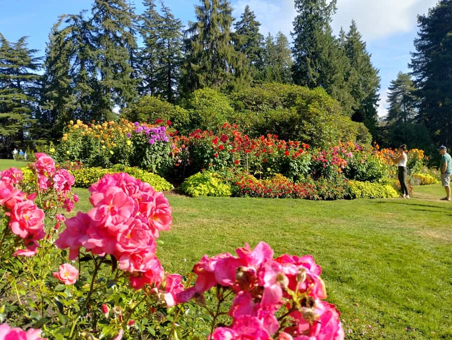 Stanley Park CarTour:SmallGroup/Comfort&CheaperThan BikeTour - Brockton Point Lighthouse and statues for the photo-lovers (and the nerds)