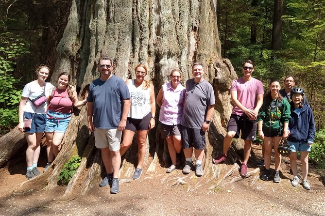 Stanley Park Highlights 2.5 Hour Walking Tour - Deep Forest Walking: Trees, Wildlife, and the Stuff You’d Miss Alone