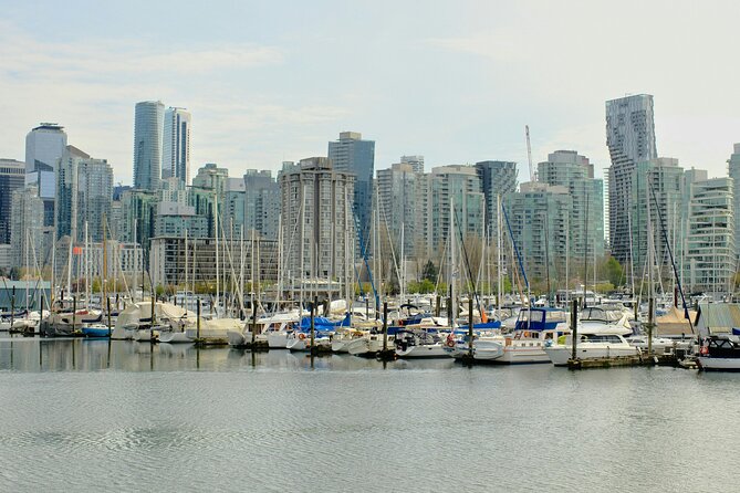 Stanley Park Highlights 2.5 Hour Walking Tour - Who Should Book This Tour (And Who Might Prefer Solo Time)