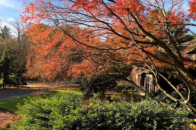 Stanley Park Horse Drawn Tour in Vancouver - Timing and seasonal hours: plan around the schedule window