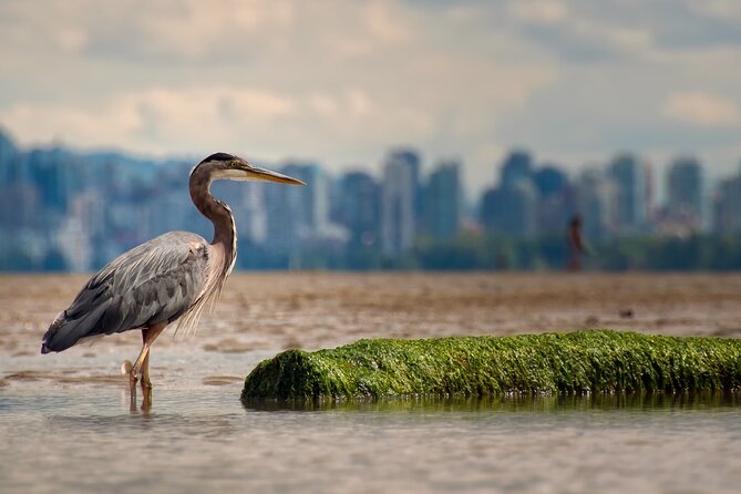 Stanley Park Self Guided Bike Tour - Vancouver Aquarium area: stopping without turning your ride into a full visit